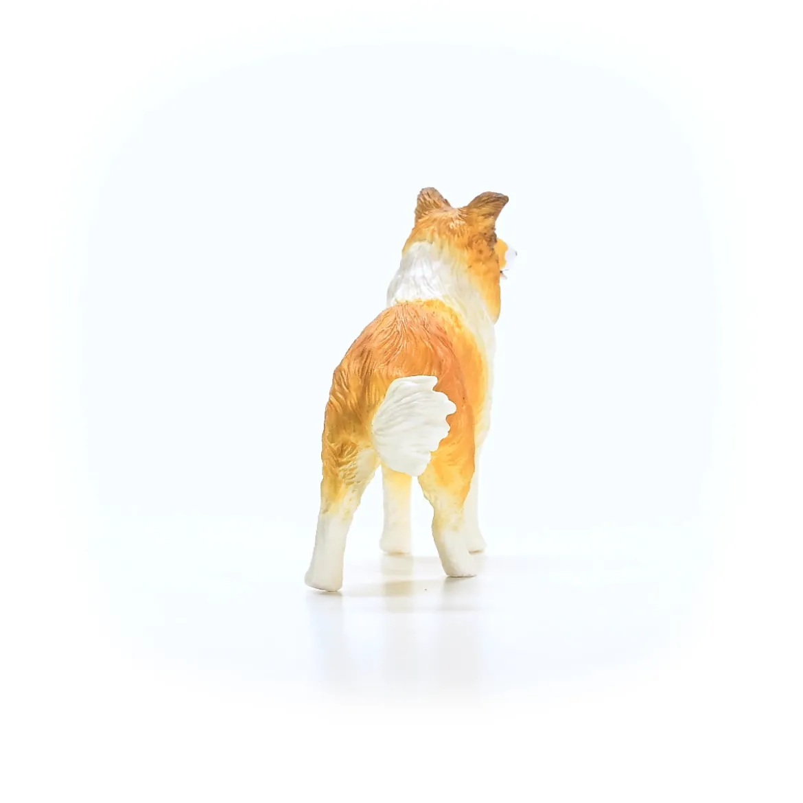 Chien Colley