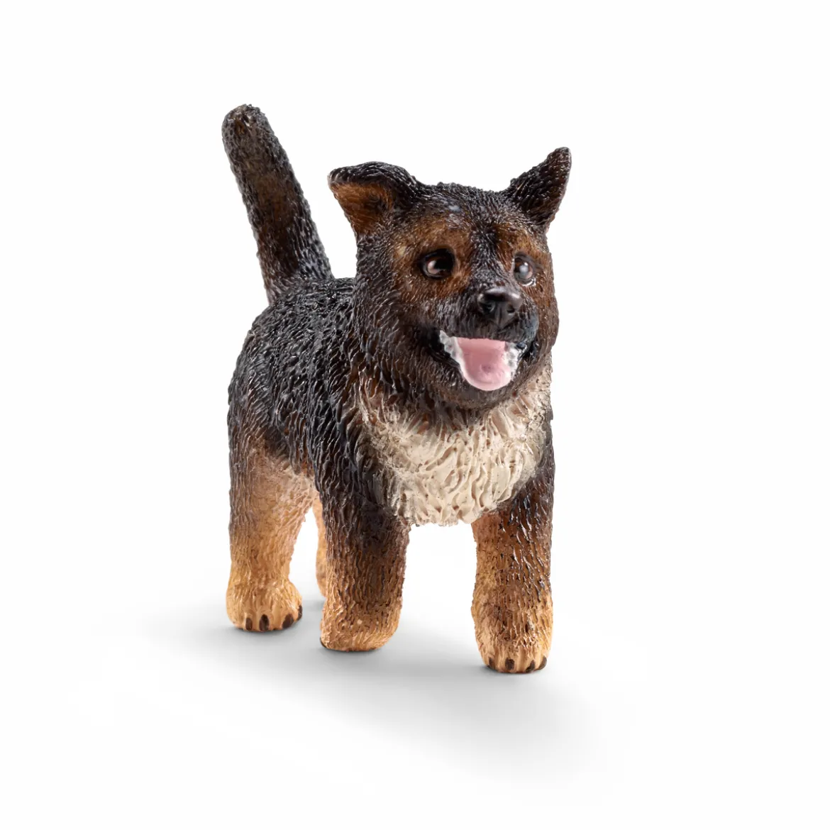 Chiot berger allemand