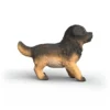 Chiot Berger allemand
