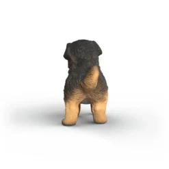 Chiot Berger allemand