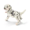 Chiot dalmatien (Bundle)