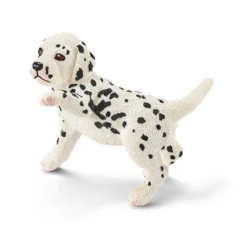 Chiot dalmatien (Bundle)