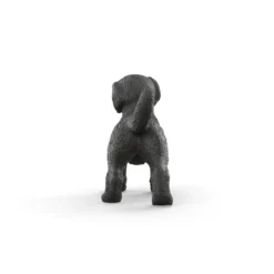 Chiot Labrador Retriever noir