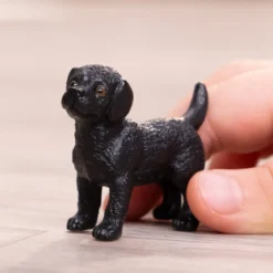 Chiot Labrador Retriever noir