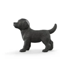 Chiot Labrador Retriever noir