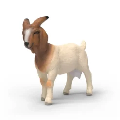 Chèvre Boer