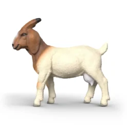 Chèvre Boer