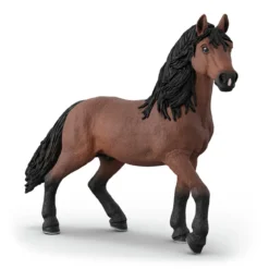 Clinique vétérinaire pour chevaux