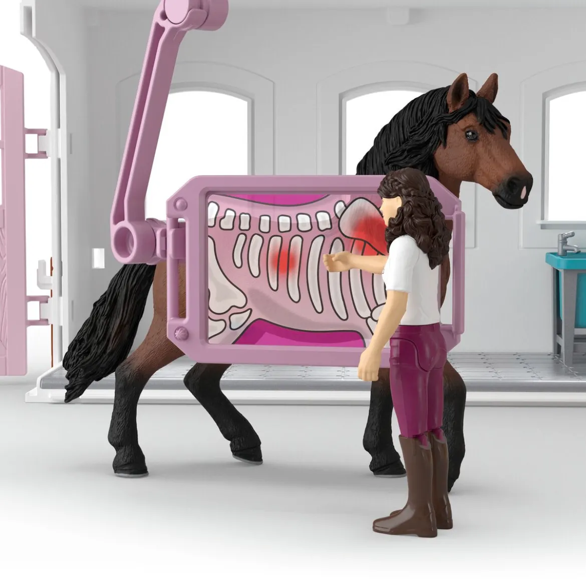 Clinique vétérinaire pour chevaux