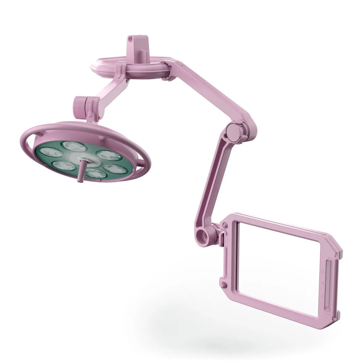 Clinique vétérinaire pour chevaux