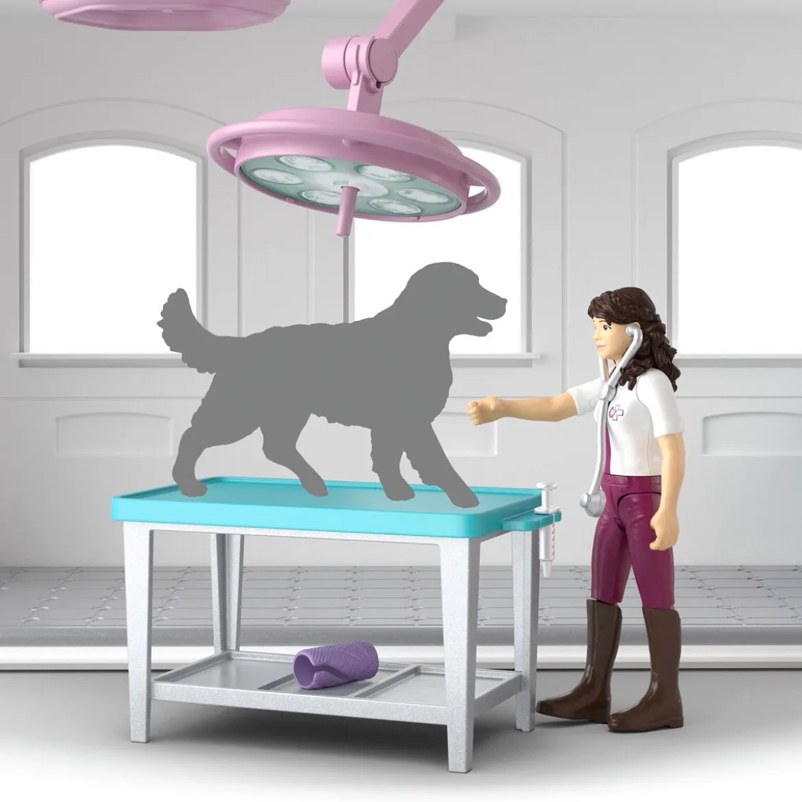 Clinique vétérinaire pour chevaux