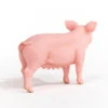 Cochon