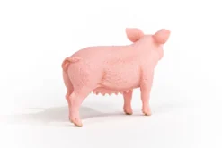 Cochon