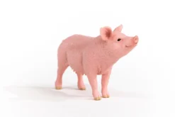 Cochon