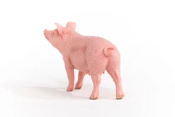 Cochon