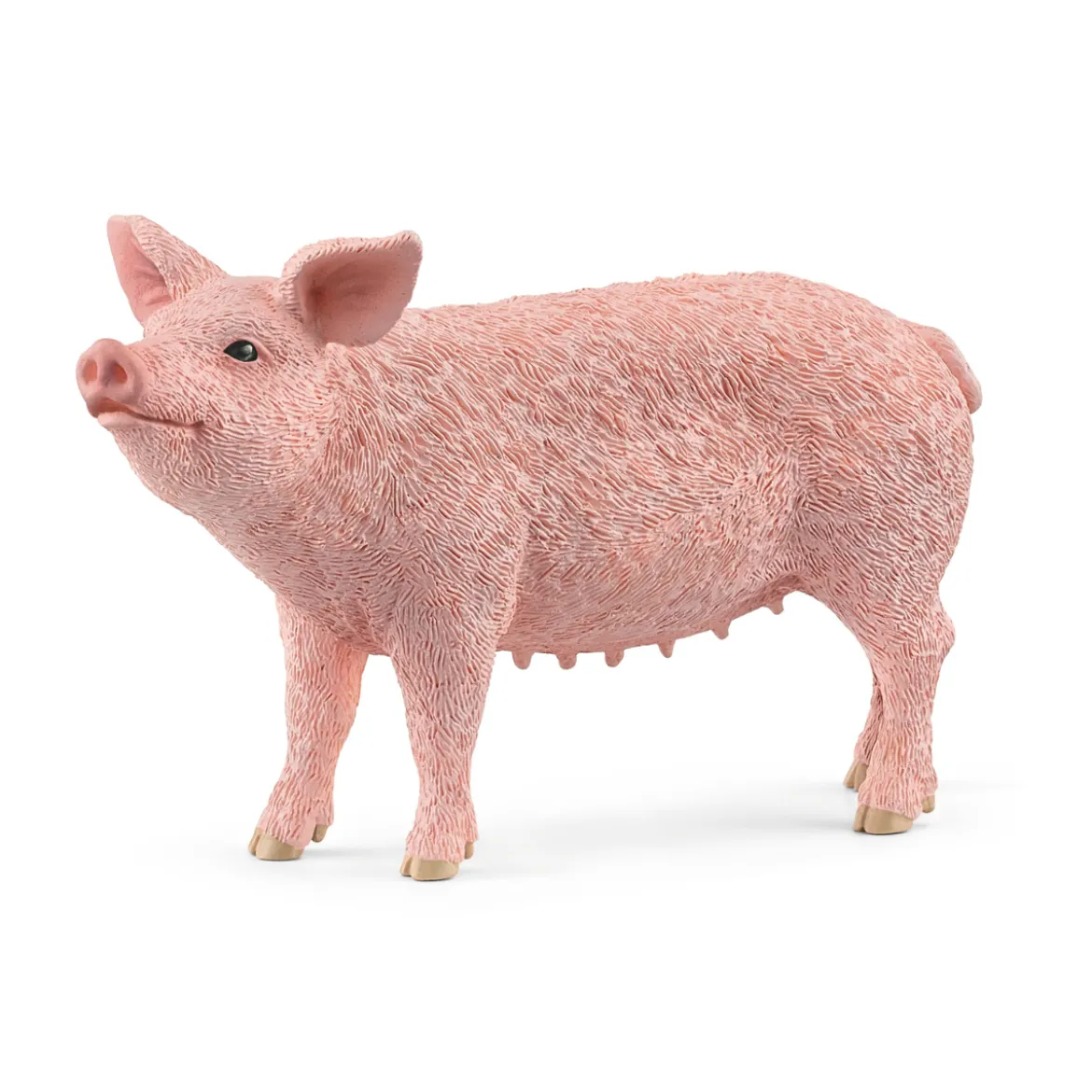 Cochon (Bundle)