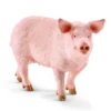 Cochon domestique