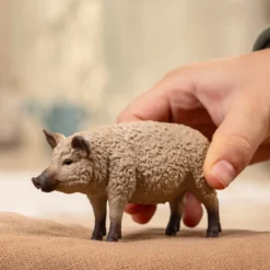Cochon Mangalica