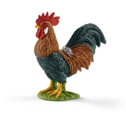 Coq