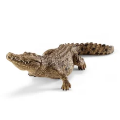 Crocodile