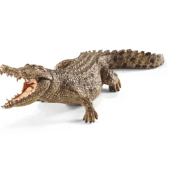 Crocodile (Bundle)