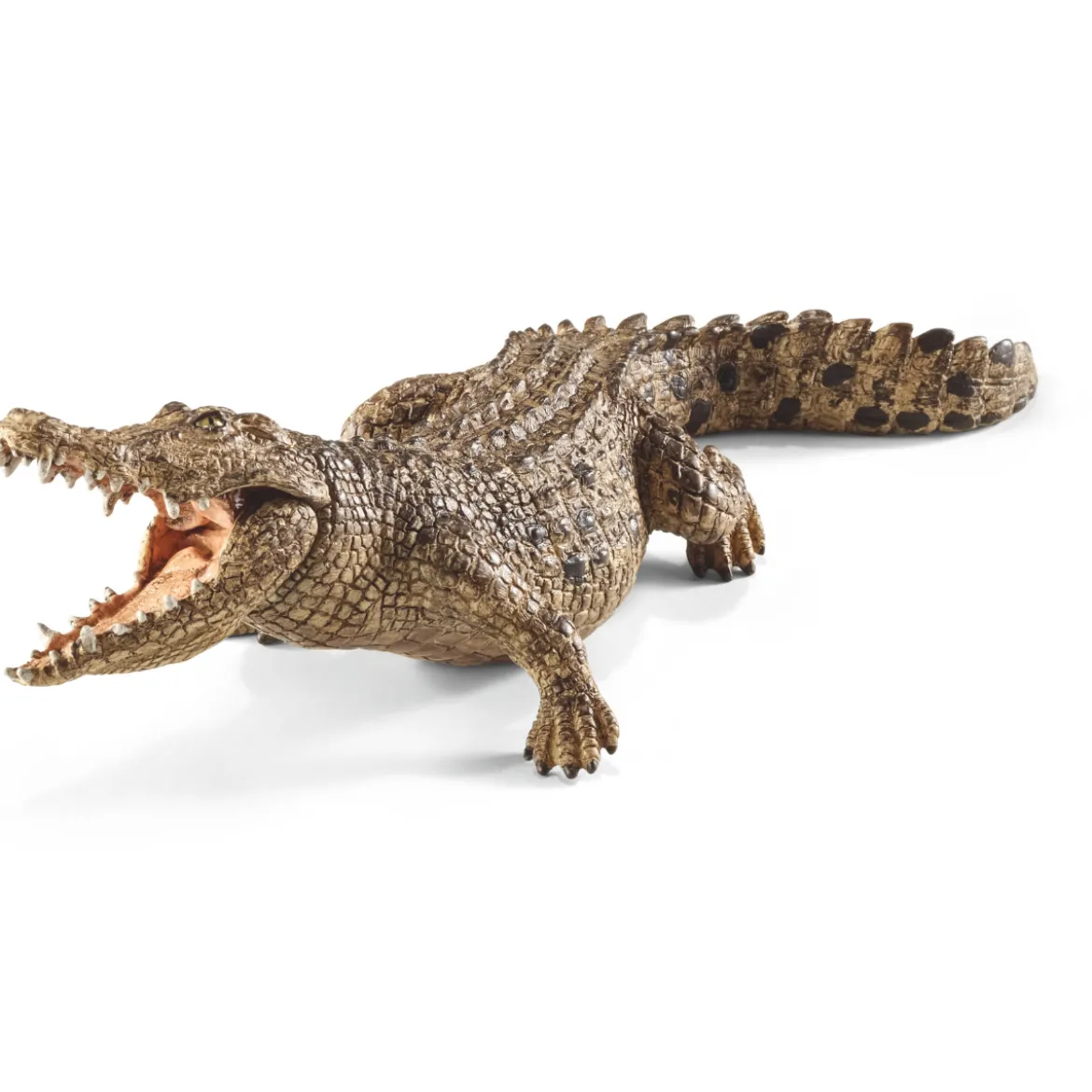 Crocodile (Bundle)