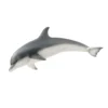 Dauphin