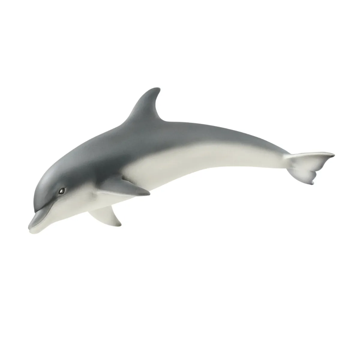 Dauphin (Bundle)