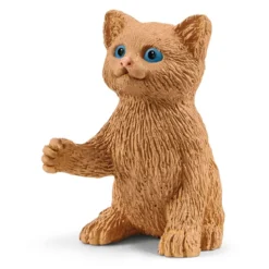 Divertissement pour chats mignons