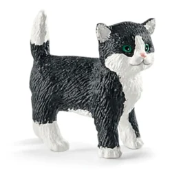 Divertissement pour chats mignons