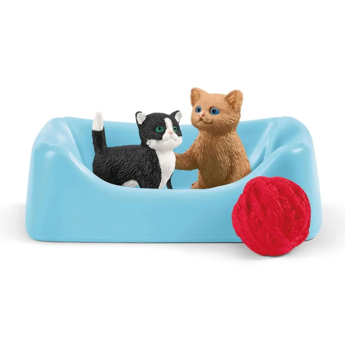 Divertissement pour chats mignons