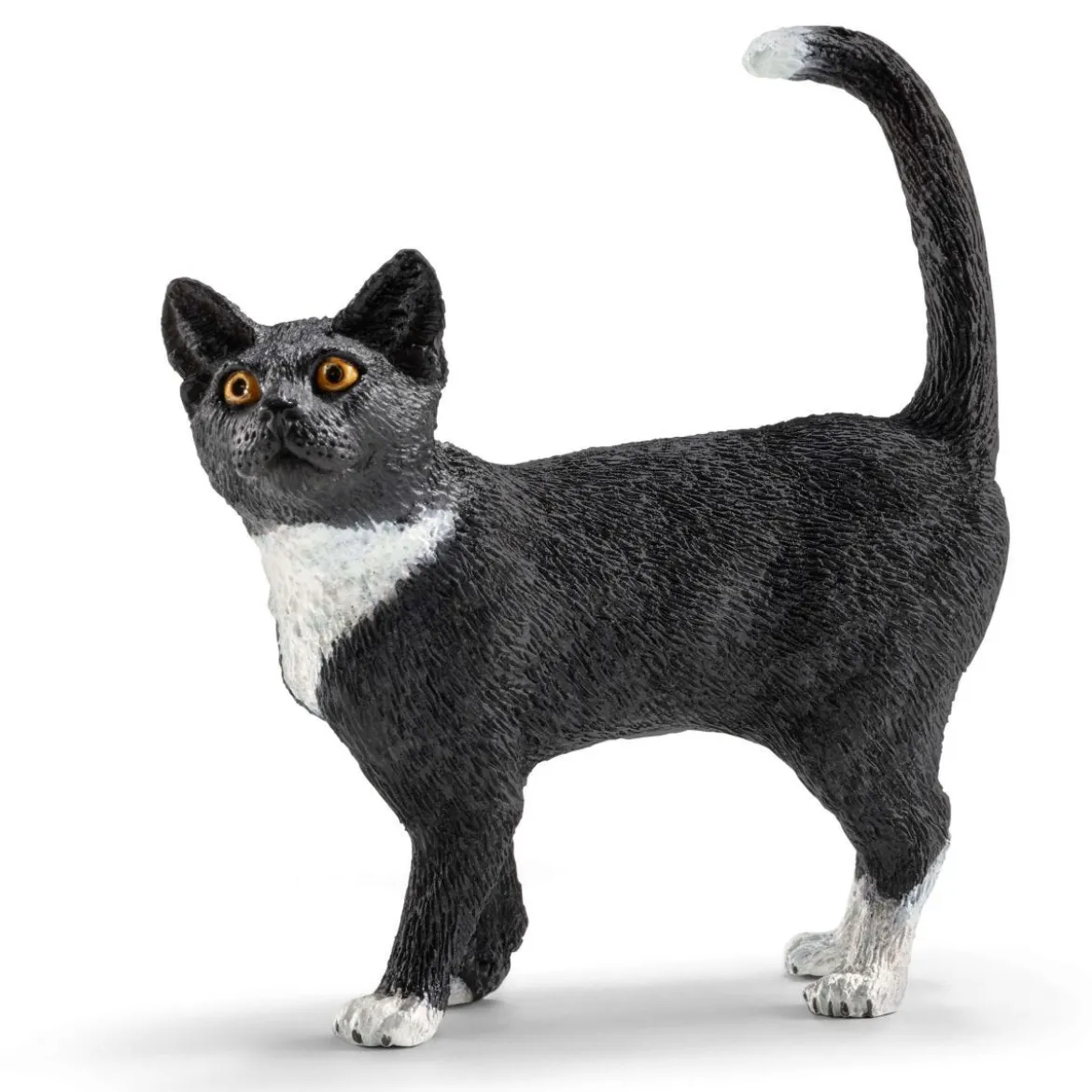 Divertissement pour chats mignons