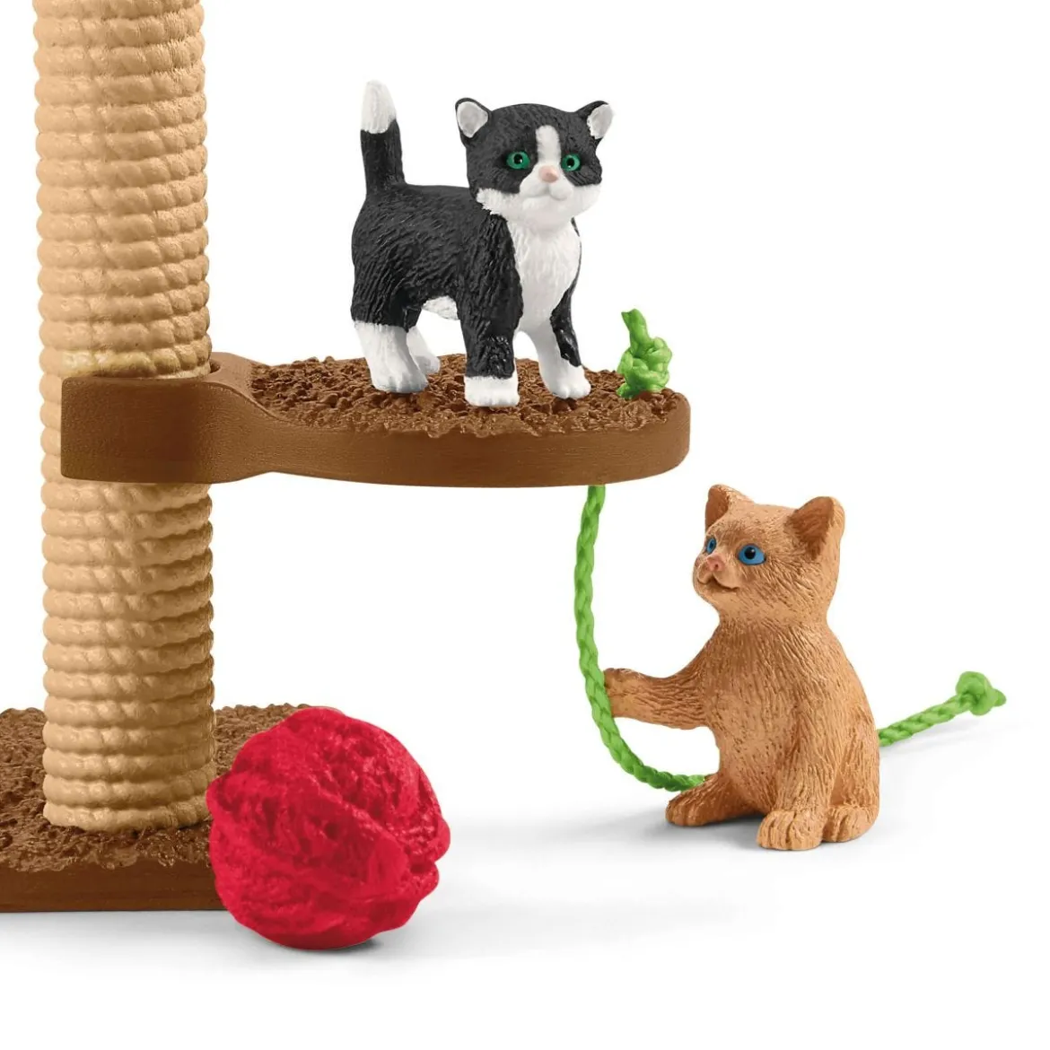 Divertissement pour chats mignons