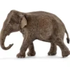 Eléphant d’Asie, femelle (bundle)