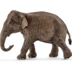 Eléphant d’Asie, femelle (bundle)