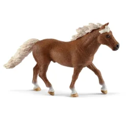 Entraînement d'agility pour poney