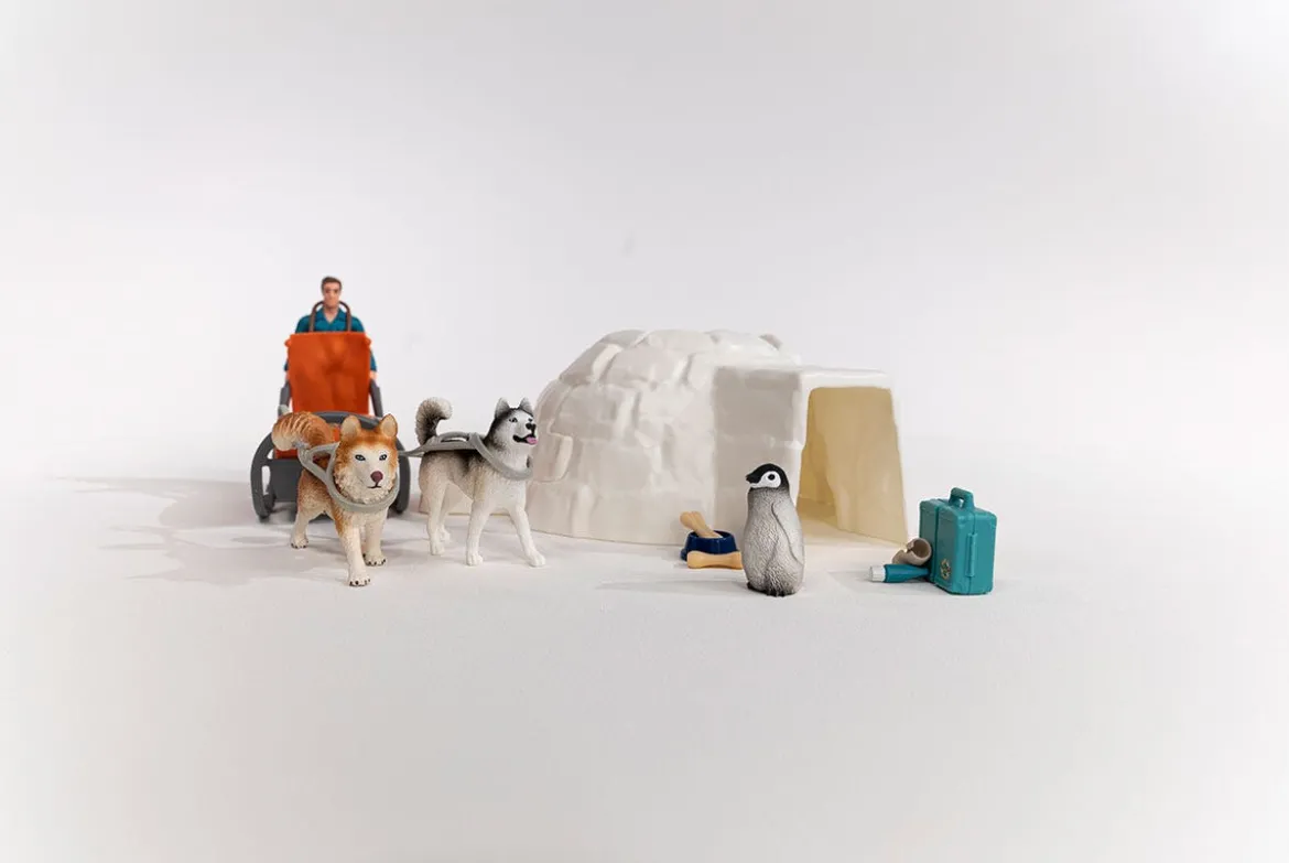 Expédition En Antarctique