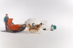 Expédition En Antarctique