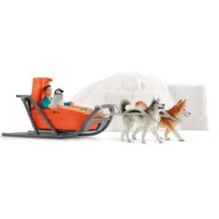 Expédition En Antarctique