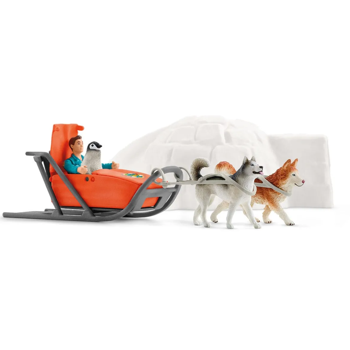 Expédition En Antarctique