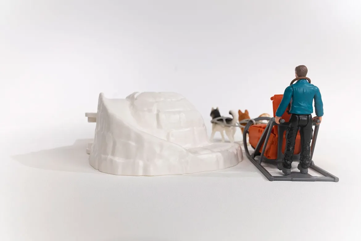 Expédition En Antarctique