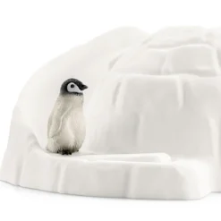 Expédition En Antarctique