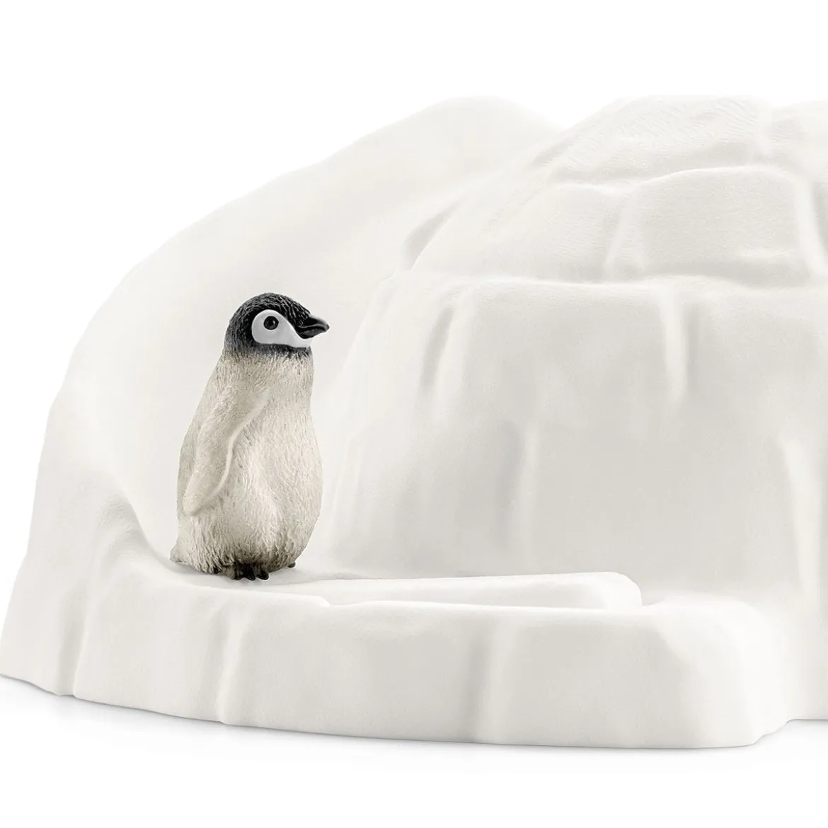 Expédition En Antarctique