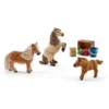 Famille de mini-shetlands
