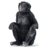 Femelle Bonobo (bundle)