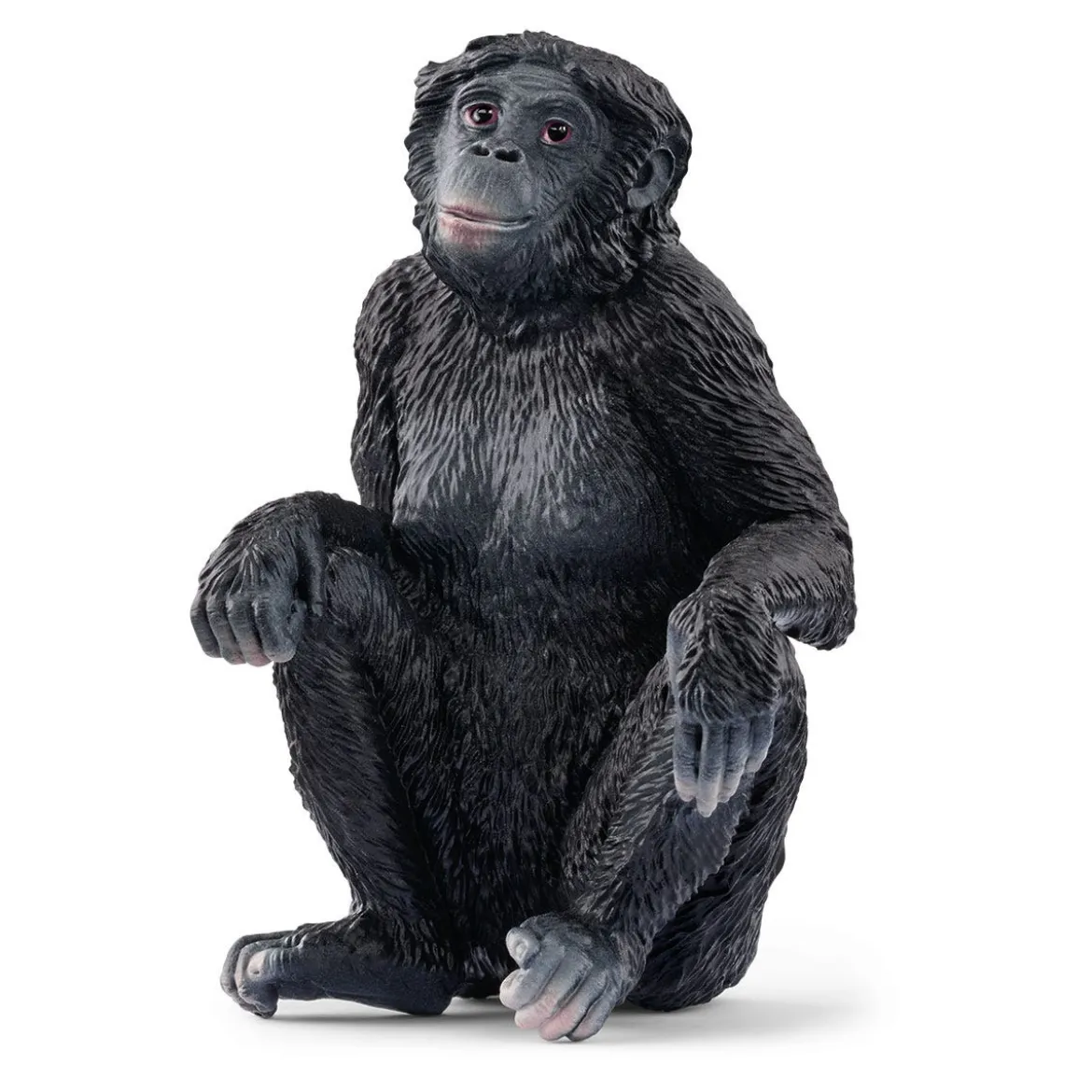 Femelle Bonobo (bundle)