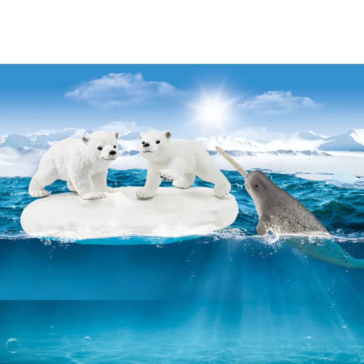 Glissade en folie des ours polaires