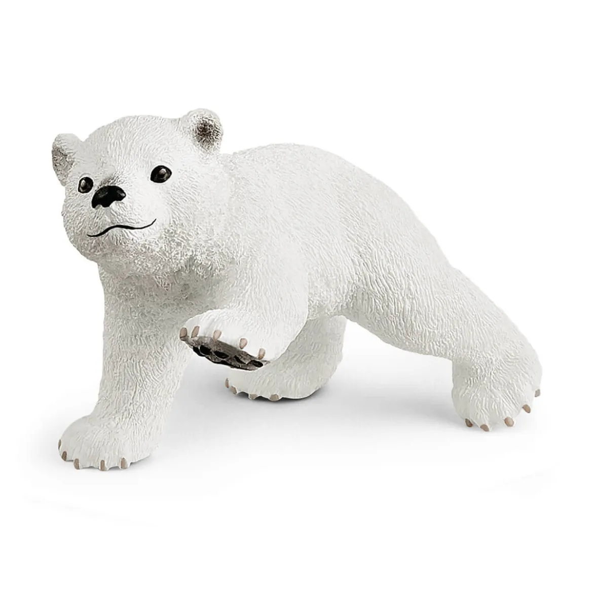 Glissade en folie des ours polaires