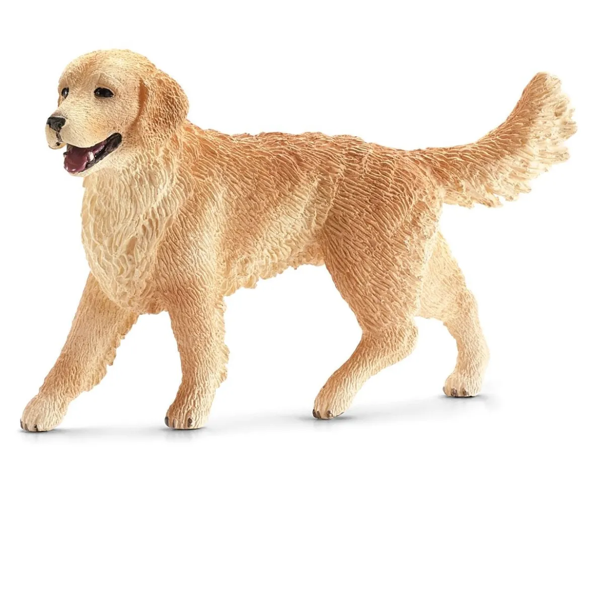 Golden Retriever, femelle