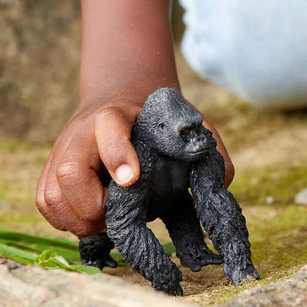 Gorille, mâle
